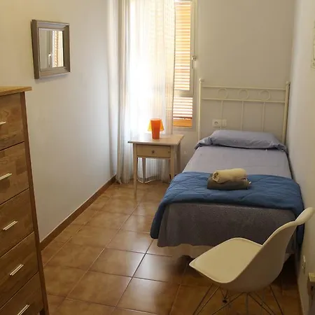 Dream Homely Apartment